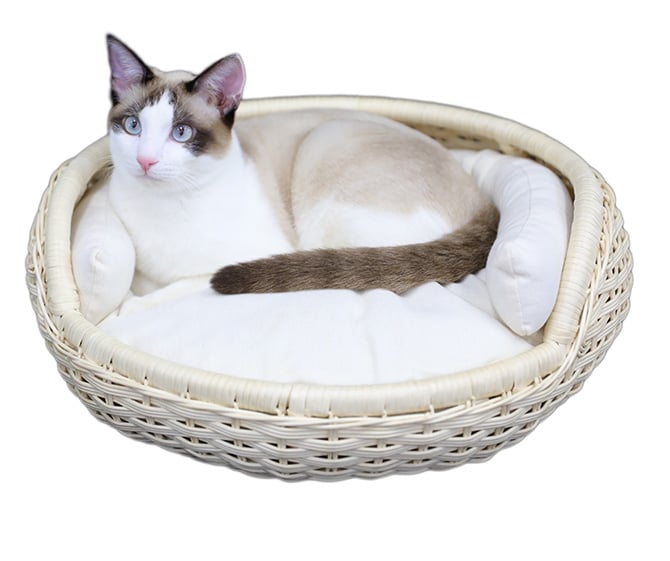 N4-style ラタンボウルベッド  猫用 ベッド ペットベッド ラタン ナチュラル ブラウン 上品 可愛い シンプル  