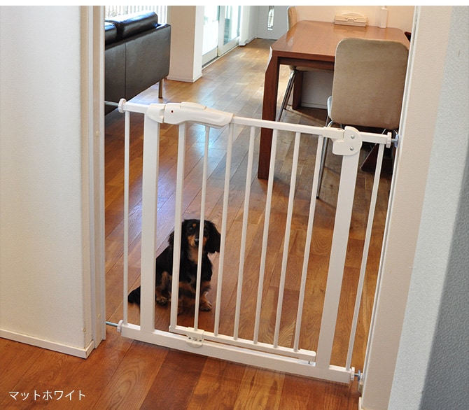 uminecco ウミネッコ ツヤ消し スチールゲート