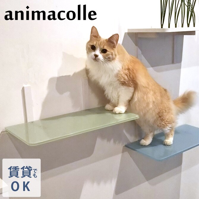 animacolle アニマコレ Catroad+ カラーステップ 猫用 キャットステップ カラー キャットタワー キャットウォーク DIY 壁 シンプル