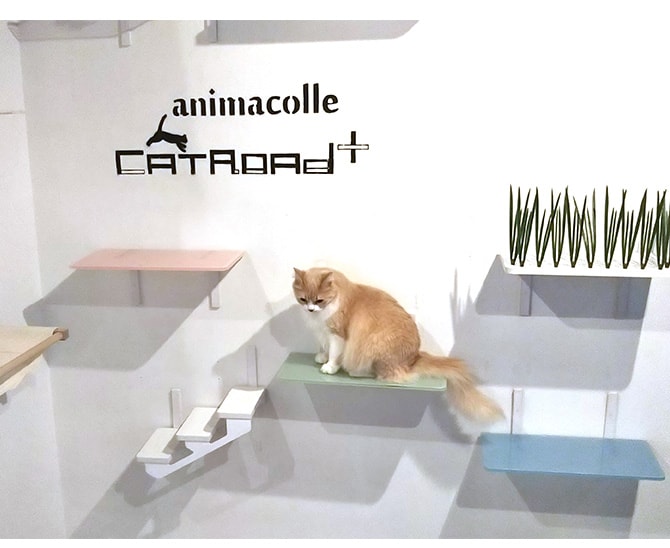 animacolle アニマコレ Catroad+ カラーステップ 猫用 キャットステップ カラー キャットタワー キャットウォーク DIY 壁 シンプル