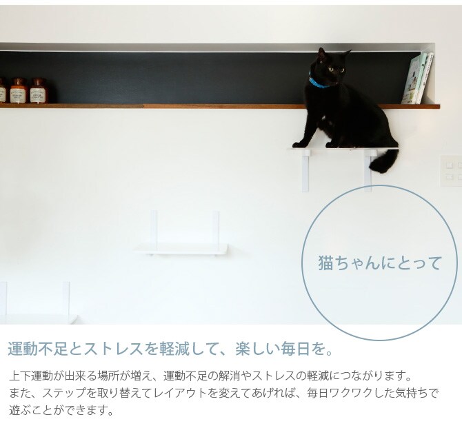 animacolle アニマコレ Catroad+ カラーステップ 猫用 キャットステップ カラー キャットタワー キャットウォーク DIY 壁 シンプル