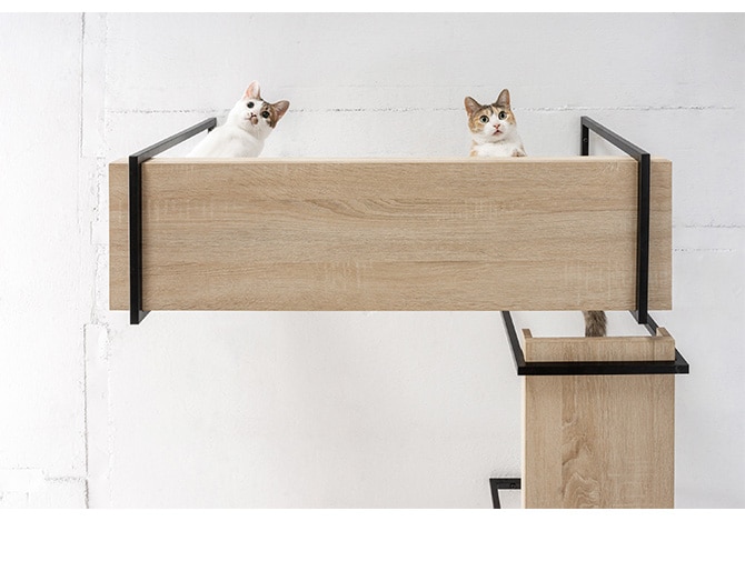 MYZOO マイズー AVENUE 60cm 猫用 猫 キャットステップ キャットウォーク 壁付け 天井付け キャット ステップ ウォーク 北欧