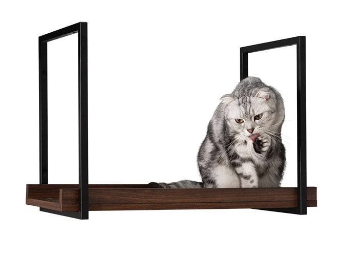 MYZOO マイズー AVENUE 60cm 猫用 猫 キャットステップ キャットウォーク 壁付け 天井付け キャット ステップ ウォーク 北欧