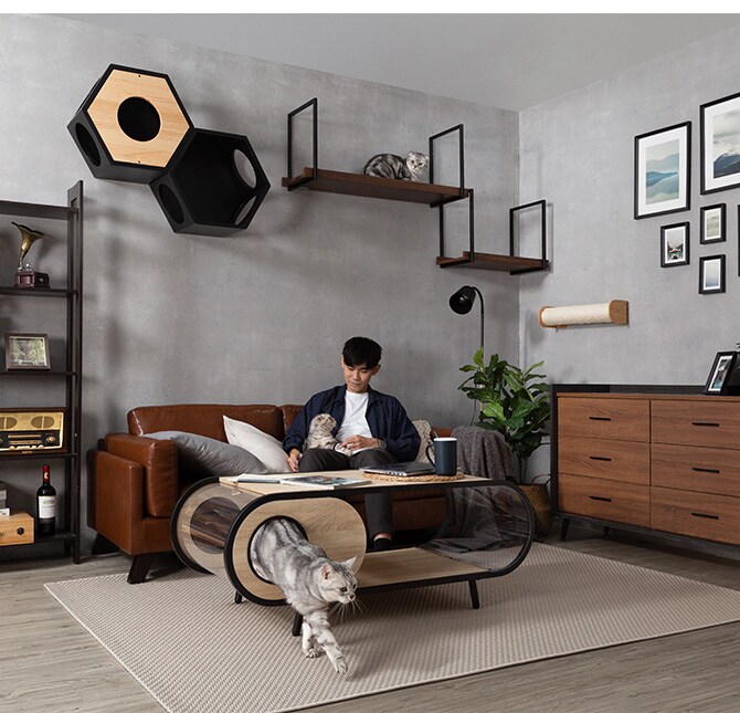 MYZOO マイズー AVENUE 60cm 猫用 猫 キャットステップ キャットウォーク 壁付け 天井付け キャット ステップ ウォーク 北欧