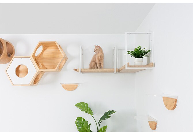 MYZOO マイズー AVENUE 60cm 猫用 猫 キャットステップ キャットウォーク 壁付け 天井付け キャット ステップ ウォーク 北欧