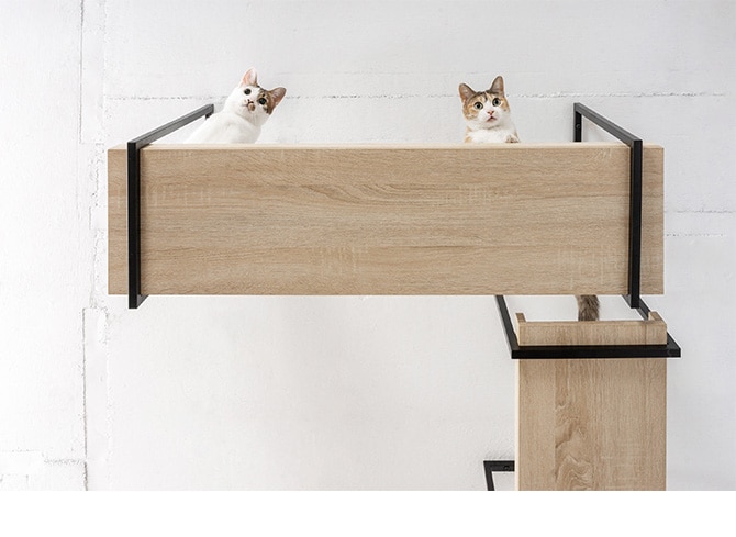 MYZOO マイズー AVENUE 100cm 猫用 猫 キャットステップ キャットウォーク 壁付け 天井付け キャット ステップ ウォーク 屋内