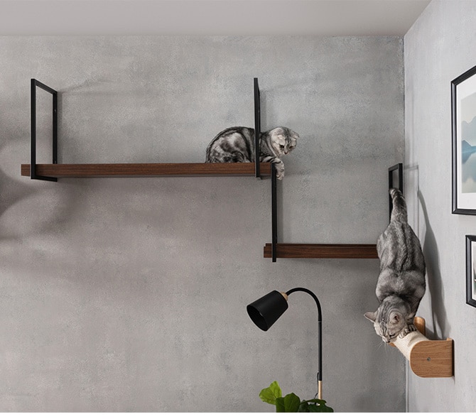 MYZOO マイズー AVENUE 100cm 猫用 猫 キャットステップ キャットウォーク 壁付け 天井付け キャット ステップ ウォーク 屋内