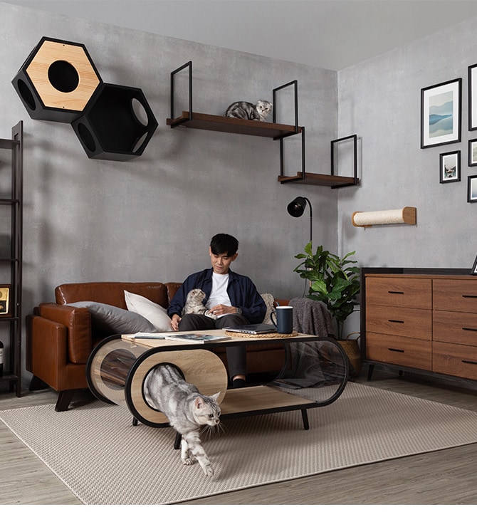 MYZOO マイズー AVENUE 100cm 猫用 猫 キャットステップ キャットウォーク 壁付け 天井付け キャット ステップ ウォーク 屋内