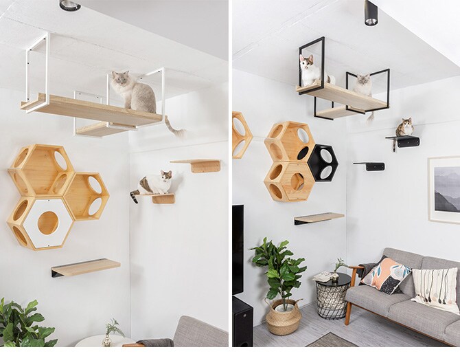 MYZOO マイズー AVENUE 100cm 猫用 猫 キャットステップ キャットウォーク 壁付け 天井付け キャット ステップ ウォーク 屋内