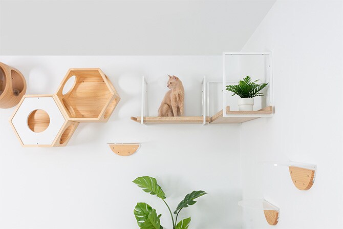 MYZOO マイズー AVENUE 100cm 猫用 猫 キャットステップ キャットウォーク 壁付け 天井付け キャット ステップ ウォーク 屋内