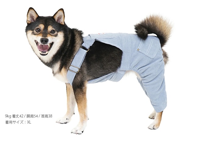 MANDARINE BROTHERS マンダリンブラザーズ OVERALL オーバーオール  犬の服 ドッグウェア オーバーオール デニム ヒッコリー ユニセックス メンズライク おしゃれ かっこいい  