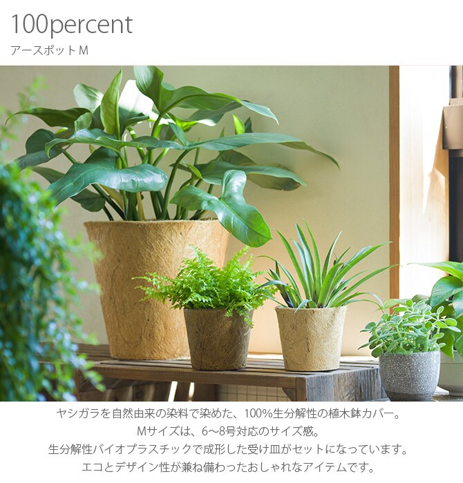 100percent 100パーセント Earth Pot アースポット M