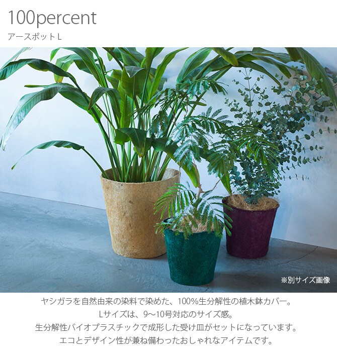 100percent 100パーセント Earth Pot アースポット L