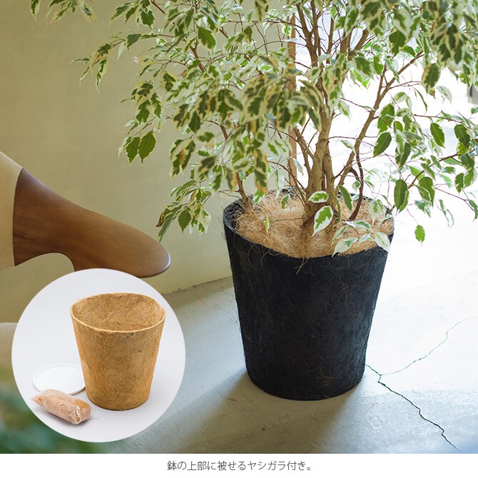 100percent 100パーセント Earth Pot アースポット L