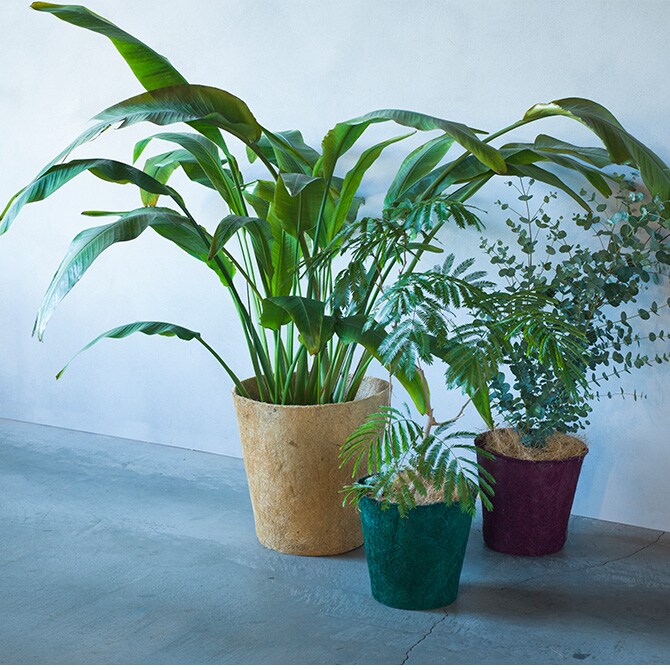 100percent 100パーセント Earth Pot アースポット S 同色2個セット