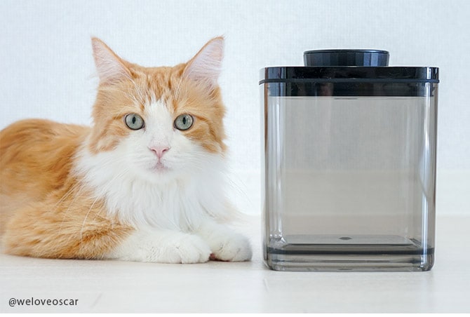 ANKOMN アンコムン 真空保存容器 ターンシール 2.4L 