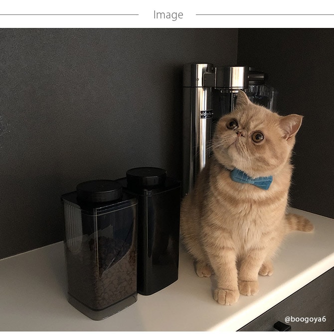 ANKOMN アンコムン 真空保存容器 ターンシール 1.5L