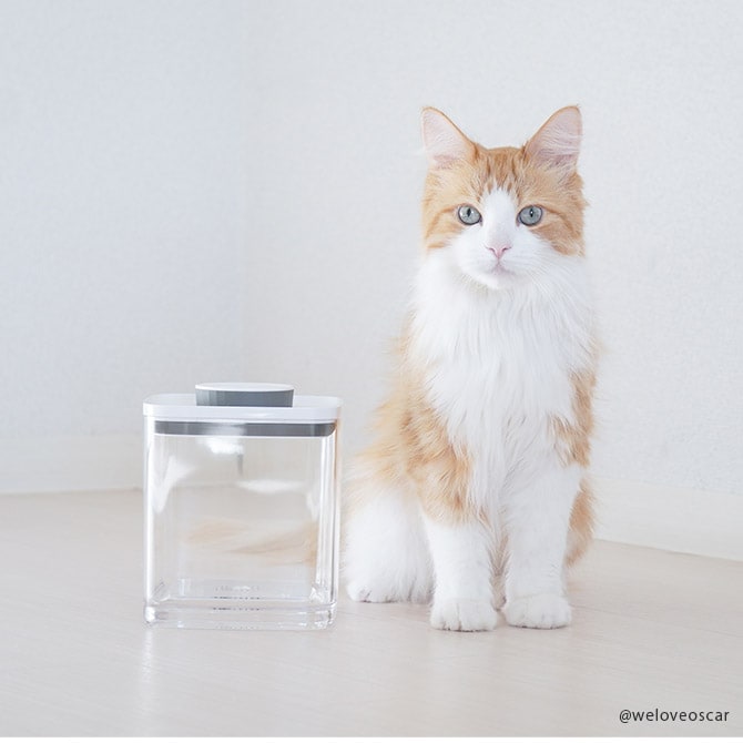 ANKOMN アンコムン 密閉保存容器 エバーロック 1.5L