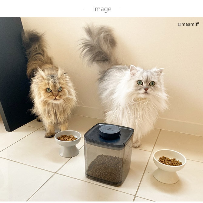 ANKOMN アンコムン 密閉保存容器 エバーロック 1.5L