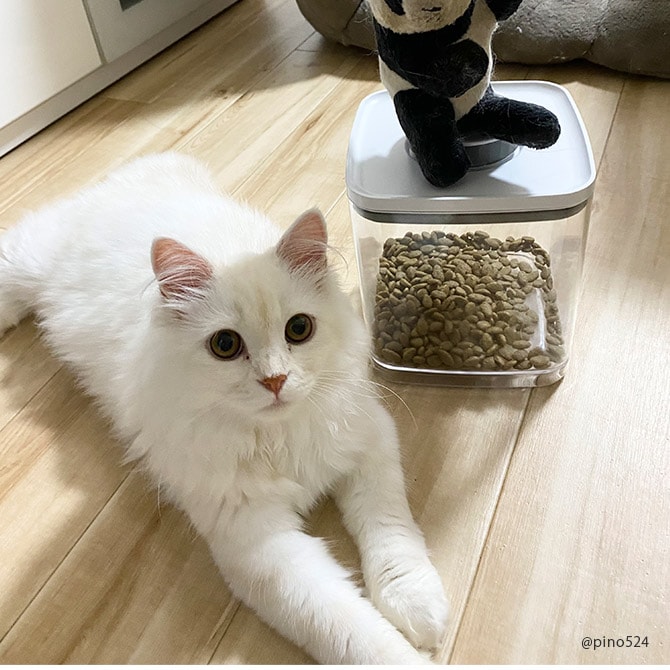 ANKOMN アンコムン 密閉保存容器 エバーロック 1.5L