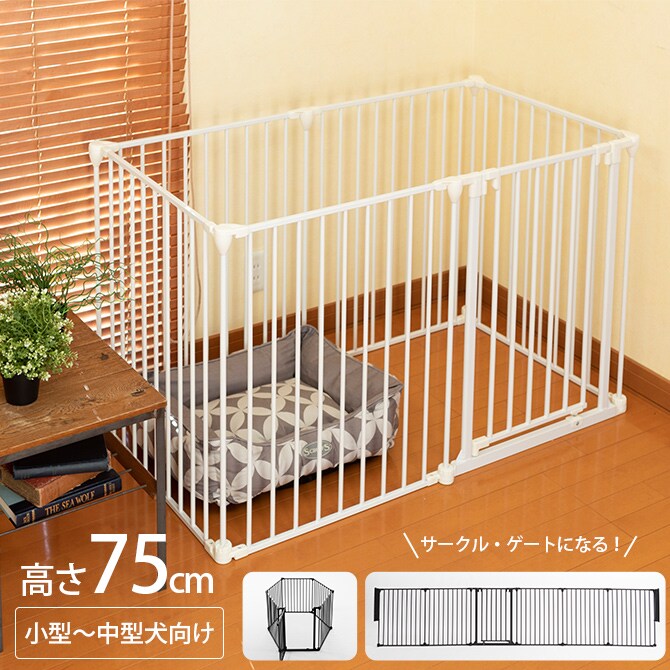 アレンジゲート＆サークル 高さ75cm 