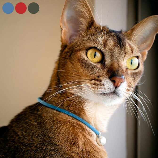 necono ネコノ 猫　首輪 Karen silver bell  カレン シルバーボール 