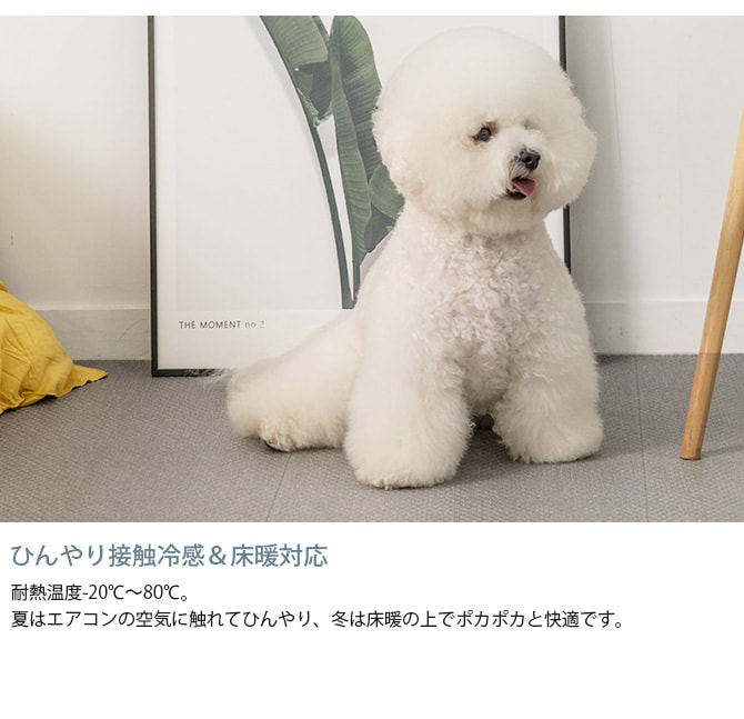 dfang ディパン ペット専用防水クッションマット 140×240cm 犬用 マット 防水 クッション性 抗菌 引っかきに強い 折りたたみ カット可能 滑らない