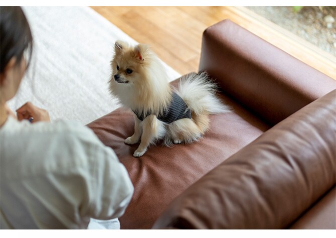 Fumi フミ コンセントの付いたソファ ペット対応素材 交換用カバー 【本体別売】 