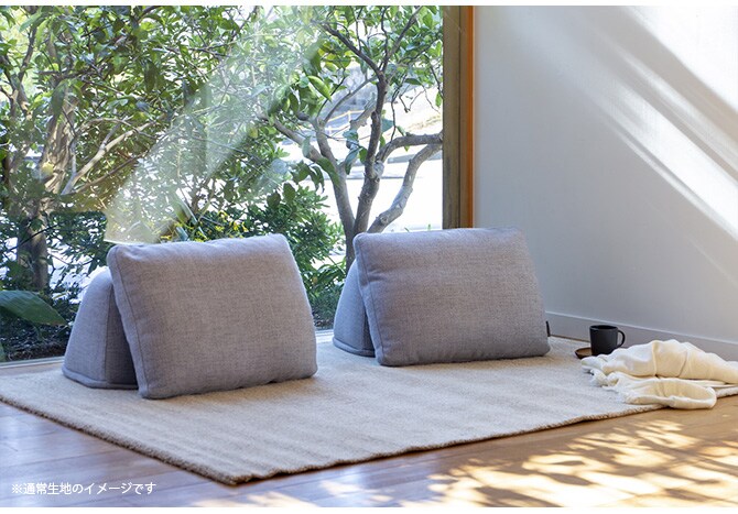 Fumi フミ 無駄のないソファ 背 ペット対応素材 