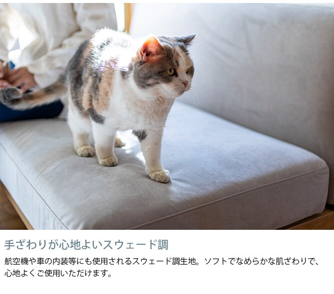 Fumi フミ 無駄のないソファ 背 ペット対応素材 