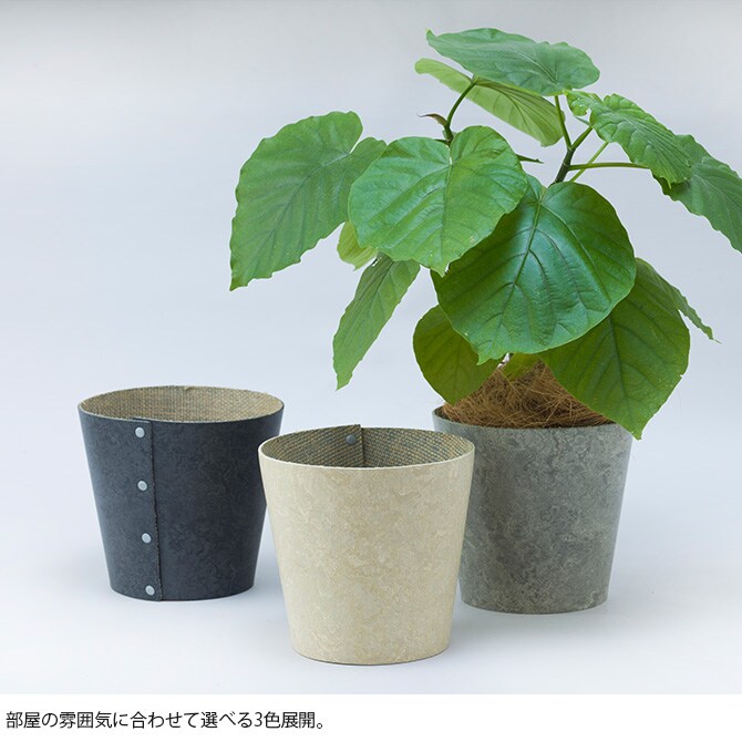 100percent 100パーセント Earth Pot リノリウム&ソーサー S+ (4号、5号鉢)