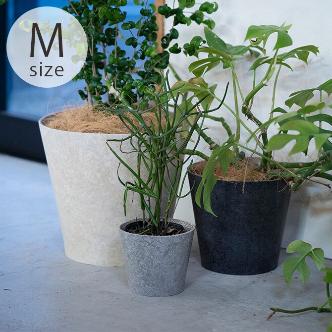 100percent 100パーセント Earth Pot リノリウム＆ソーサー M (6号、7号、8号鉢) 