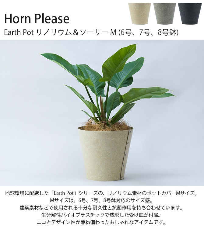 100percent 100パーセント Earth Pot リノリウム＆ソーサー M (6号、7号、8号鉢) 