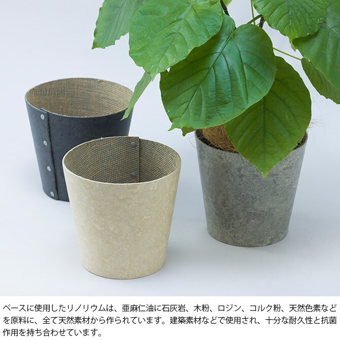 100percent 100パーセント Earth Pot リノリウム＆ソーサー M (6号、7号、8号鉢) 