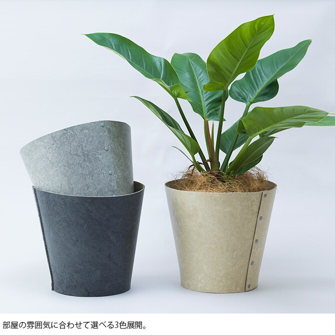 100percent 100パーセント Earth Pot リノリウム＆ソーサー M (6号、7号、8号鉢) 