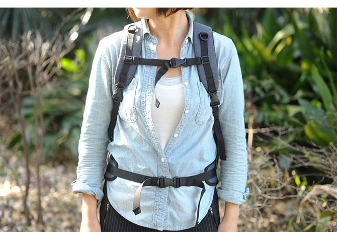 AIR BUGGY エアバギー 3WAY バックパックキャリー レギュラー  猫 犬 ペットキャリー リュック キャリー リュックキャリー おしゃれ ショルダー ネコ イヌ  