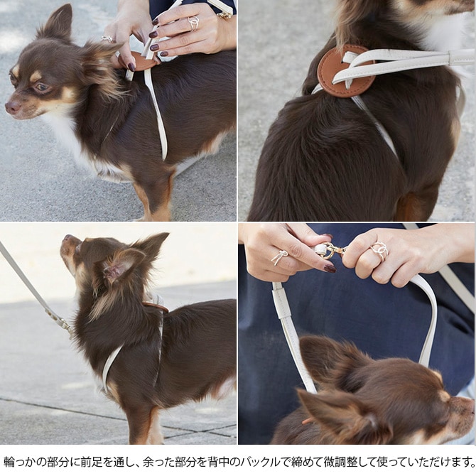 Horn Please ホーン プリーズ ヴィーガンレザー DOG ハーネス ワーク