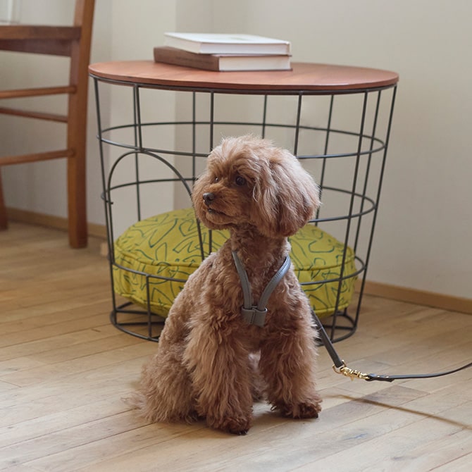 Horn Please ホーン プリーズ ヴィーガンレザー DOG ハーネス ワーク