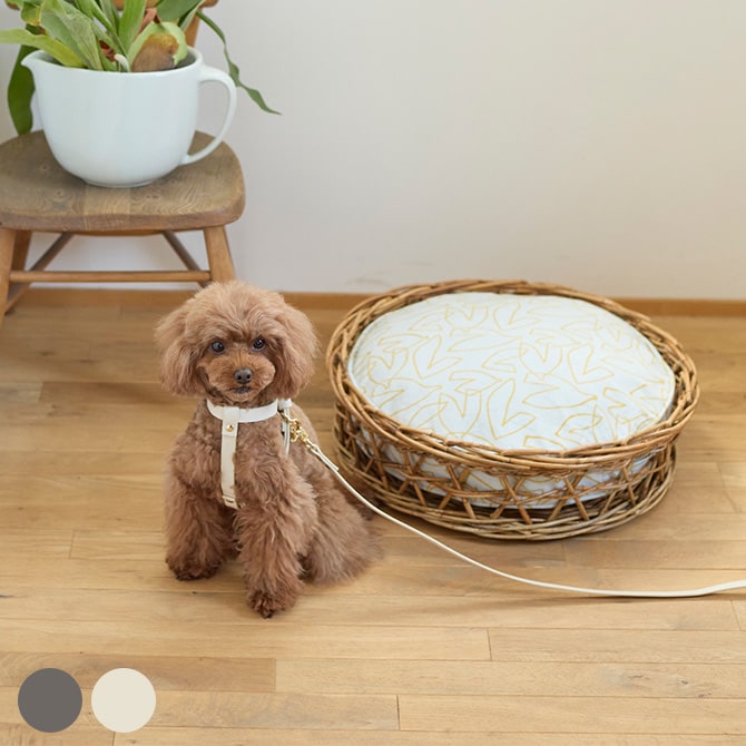 Horn Please ホーン プリーズ ヴィーガンレザー DOG ハーネス クロス