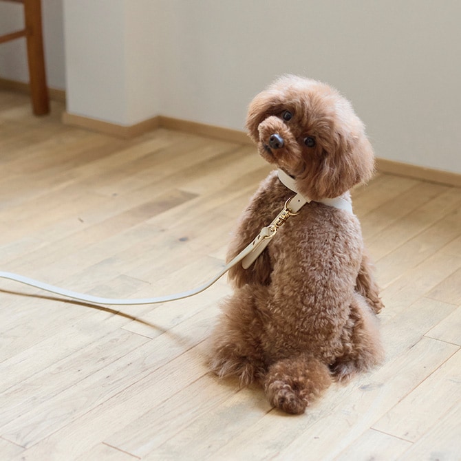 Horn Please ホーン プリーズ ヴィーガンレザー DOG ハーネス クロス