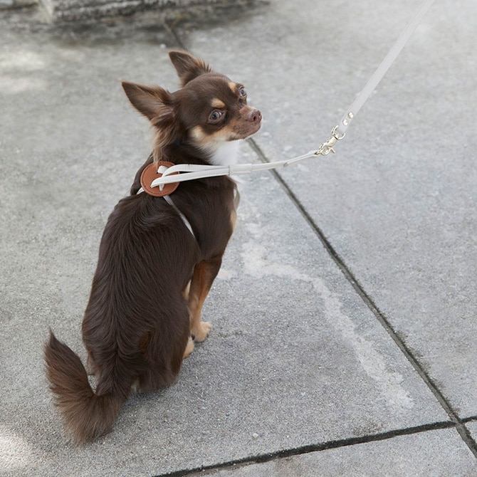 Horn Please ホーン プリーズ ヴィーガンレザー DOG リード