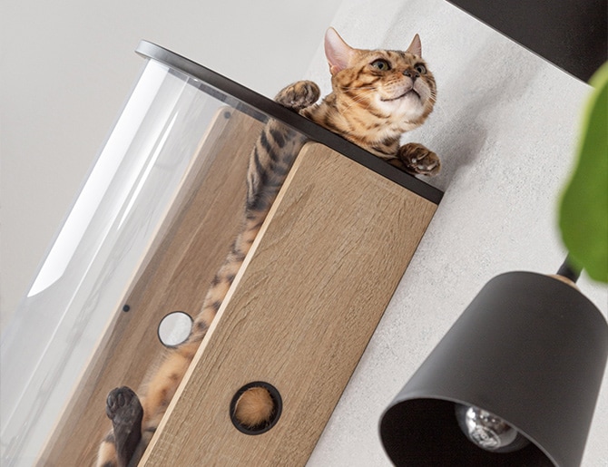 MYZOO マイズー Tunnel 猫用 猫 キャットステップ キャットウォーク クリア 透明 おしゃれ 壁掛け キャットベッド 北欧