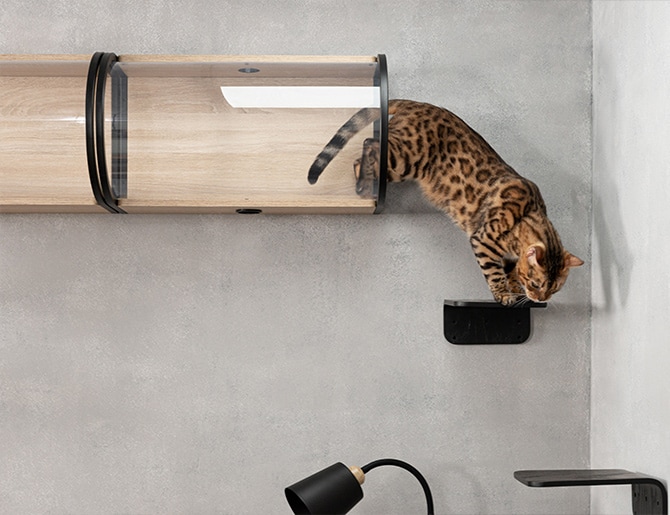 MYZOO マイズー Tunnel 猫用 猫 キャットステップ キャットウォーク クリア 透明 おしゃれ 壁掛け キャットベッド 北欧