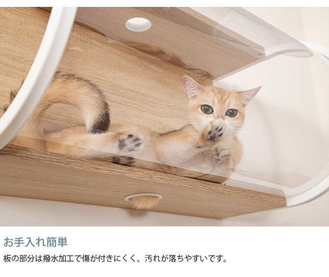 MYZOO マイズー Tunnel 猫用 猫 キャットステップ キャットウォーク クリア 透明 おしゃれ 壁掛け キャットベッド 北欧