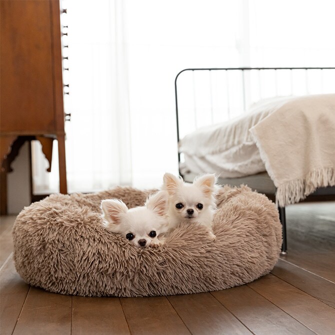 TALL TAILS トール テイルズ ドリームチェイサー ベッド S 