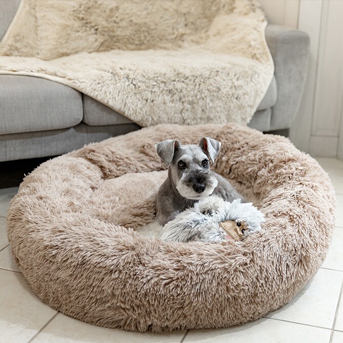 TALL TAILS トール テイルズ ドリームチェイサー ベッド S 