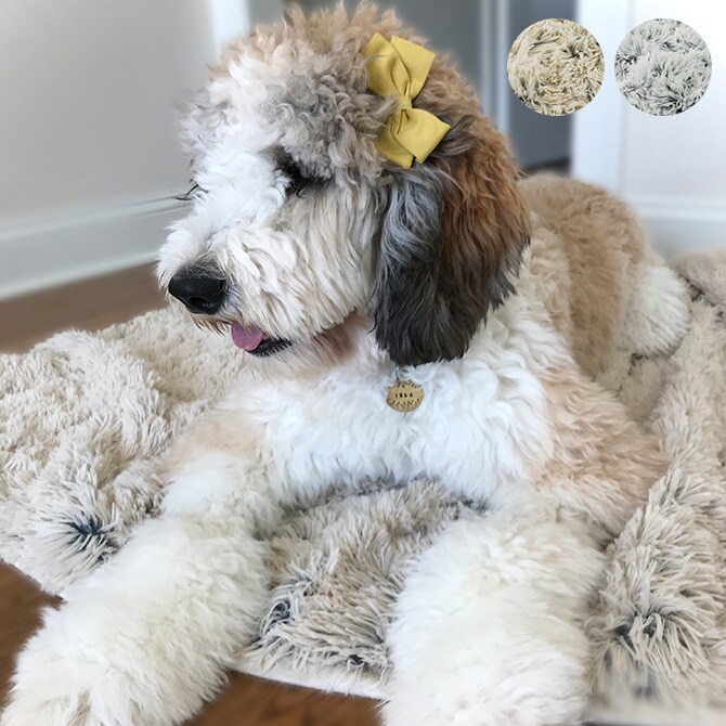 TALL TAILS トール テイルズ ドリームチェイサー ウォータープルーフ 