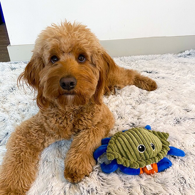 TALL TAILS トール テイルズ クランチ トイ