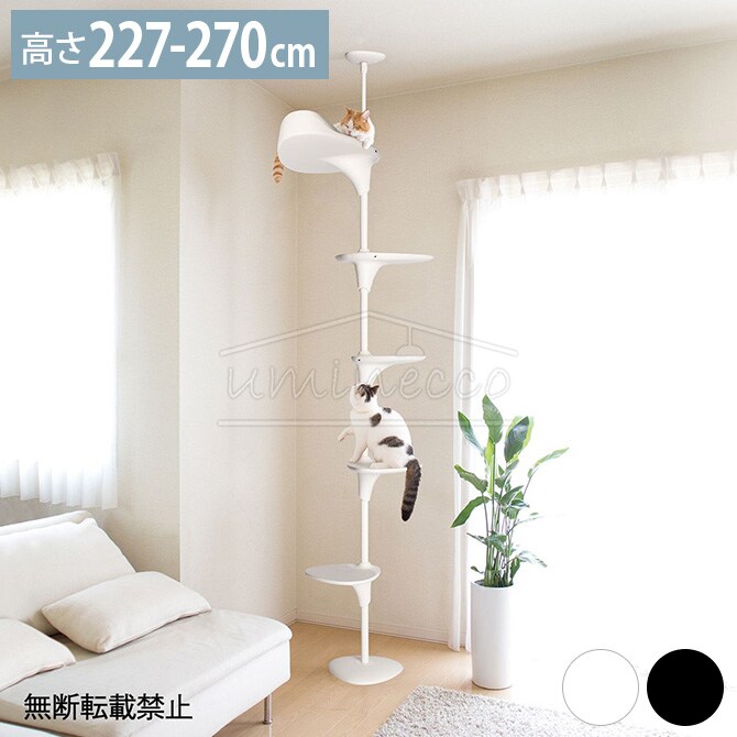 OPPO オッポ キャットフォレスト 2