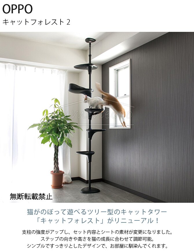 OPPO オッポ キャットフォレスト 2